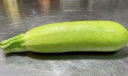 葫芦瓜清蒸多久可以吃,恰到好处的美味时间