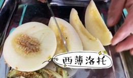 洛洛吃瓜,揭秘娱乐圈幕后故事