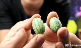 吃拇指瓜声控,解锁美食新体验