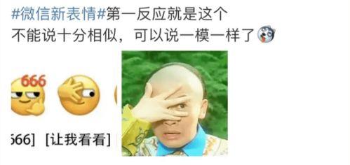 秃崽吃瓜事件,网络舆论的狂欢与反思