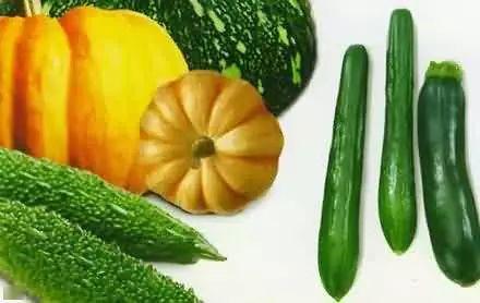 念书吃瓜,品味书香与瓜趣