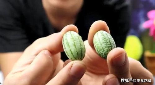 吃拇指瓜声控,解锁美食新体验